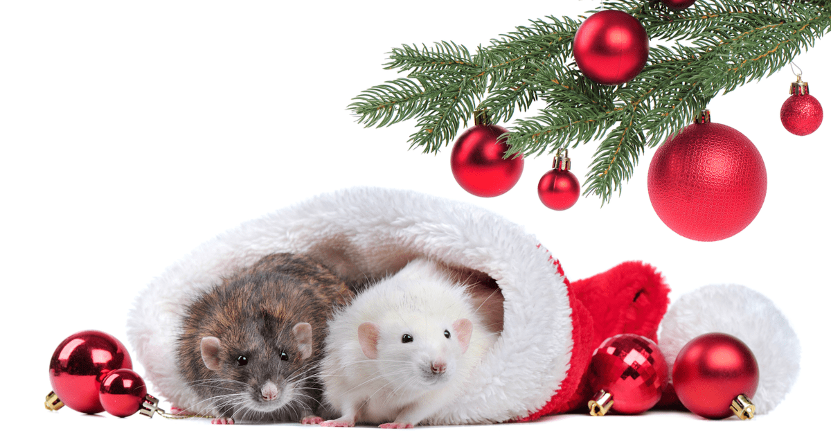 Uninvited Holiday Guests