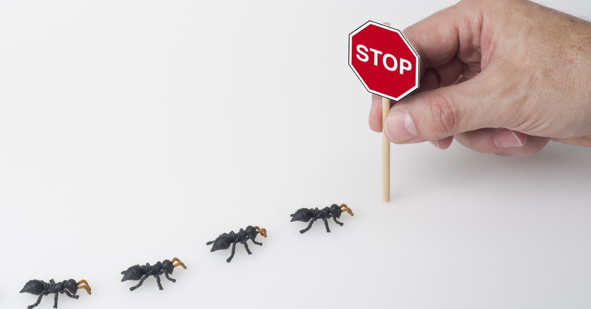 Local Exterminator Services, Manchester NH