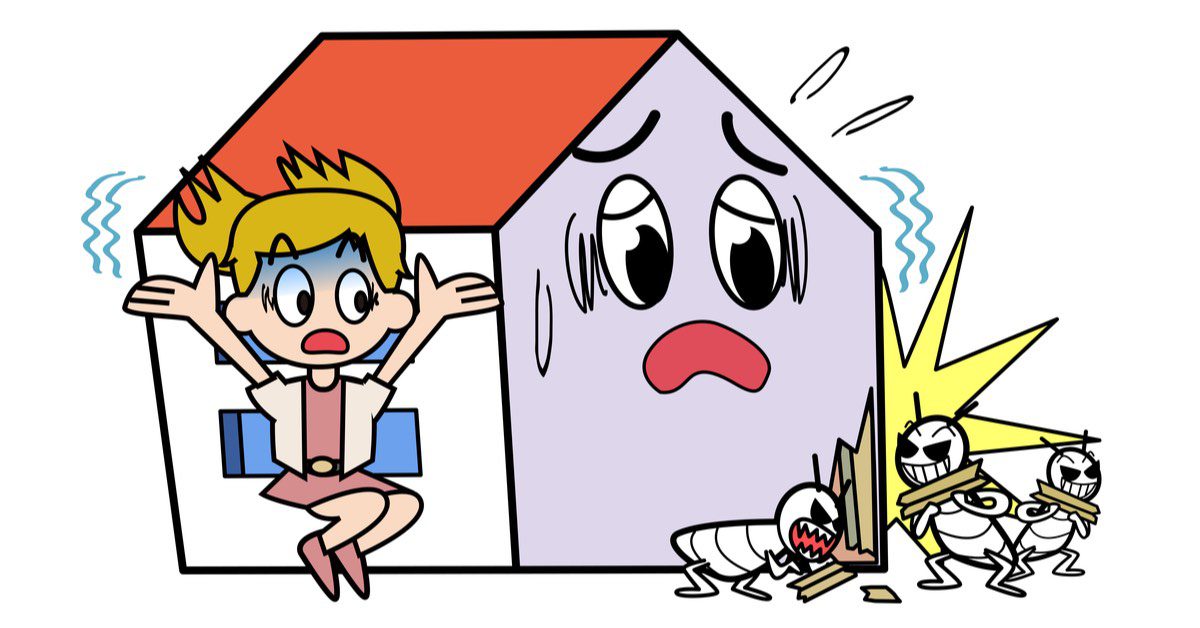 8 Reasons: Best Termite Exterminator Services