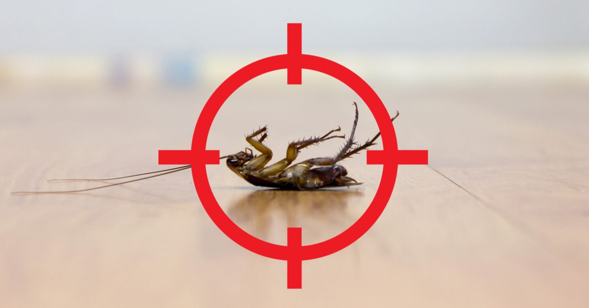 Milford NH Exterminators