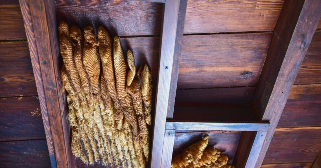 How To Remove Honey Bees Safely