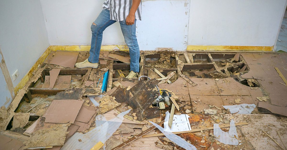 a man walking on top of broken floor beams from termites